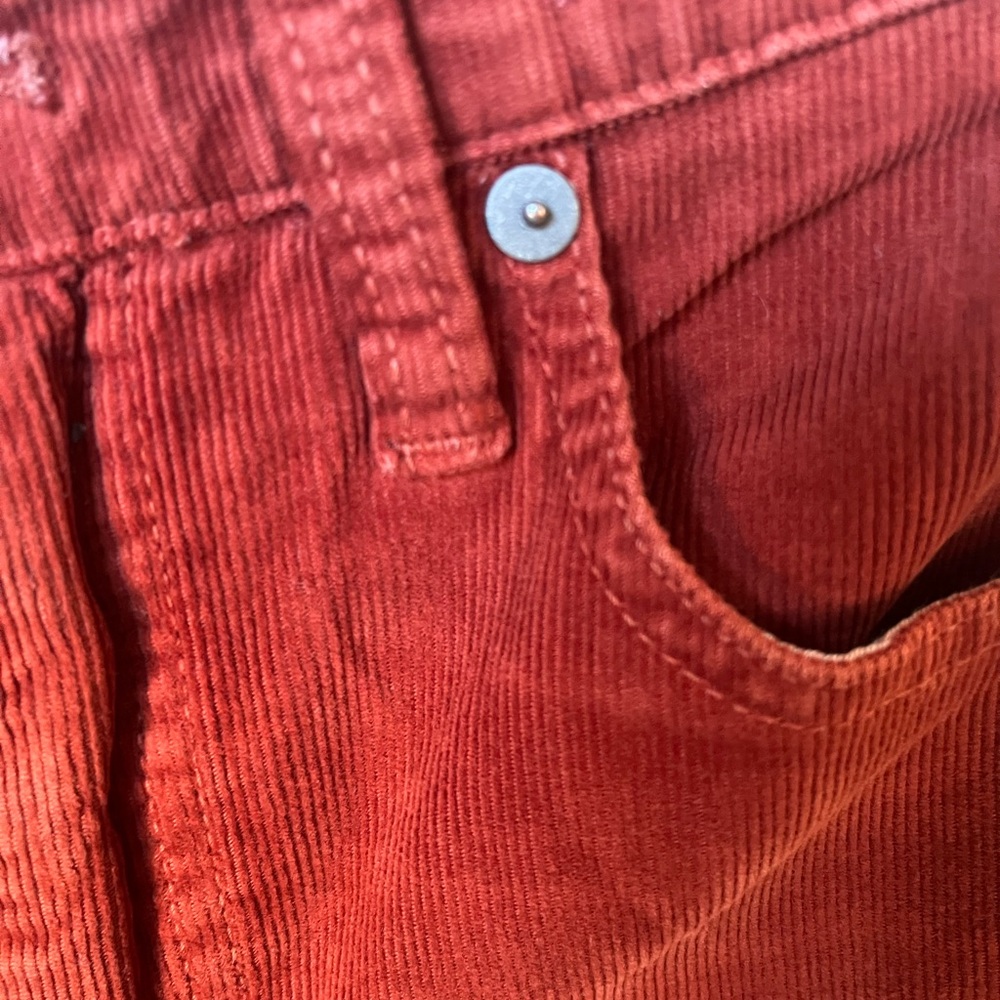 Madewell Burnt Orange High Rise Skinny Corduroy Pants - Picture 5 of 12